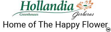 Hollandia logo