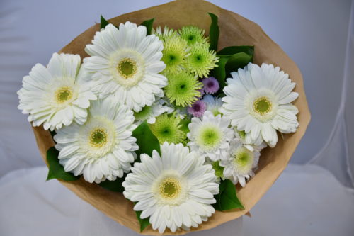 Glorious Gerbera - White