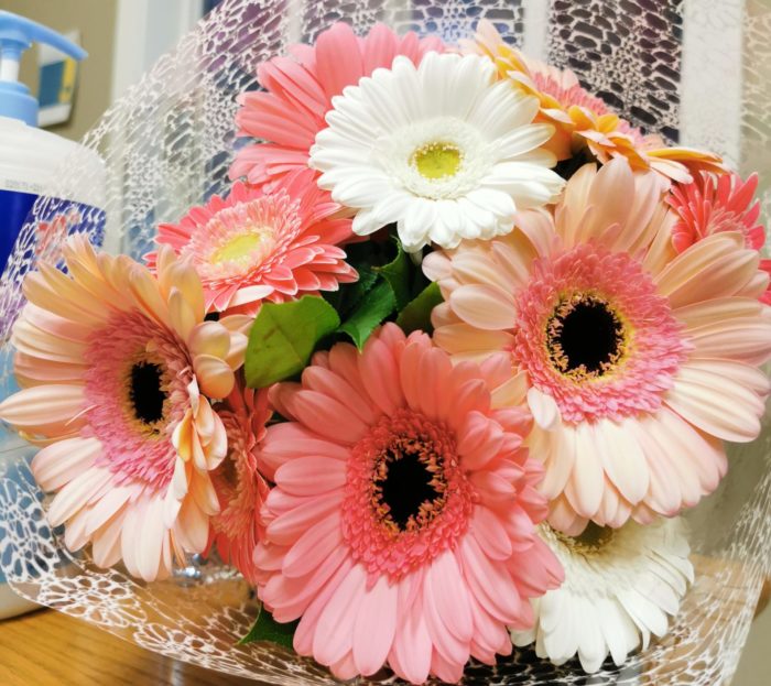 Designers Choice-Glorious Gerbera Bouquet